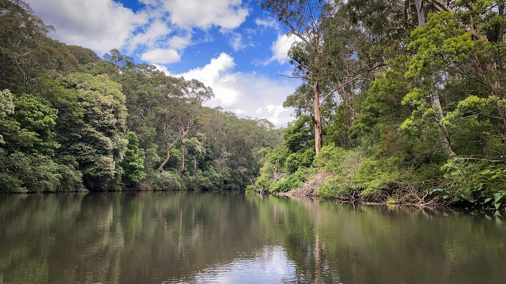 The Lane Cover River