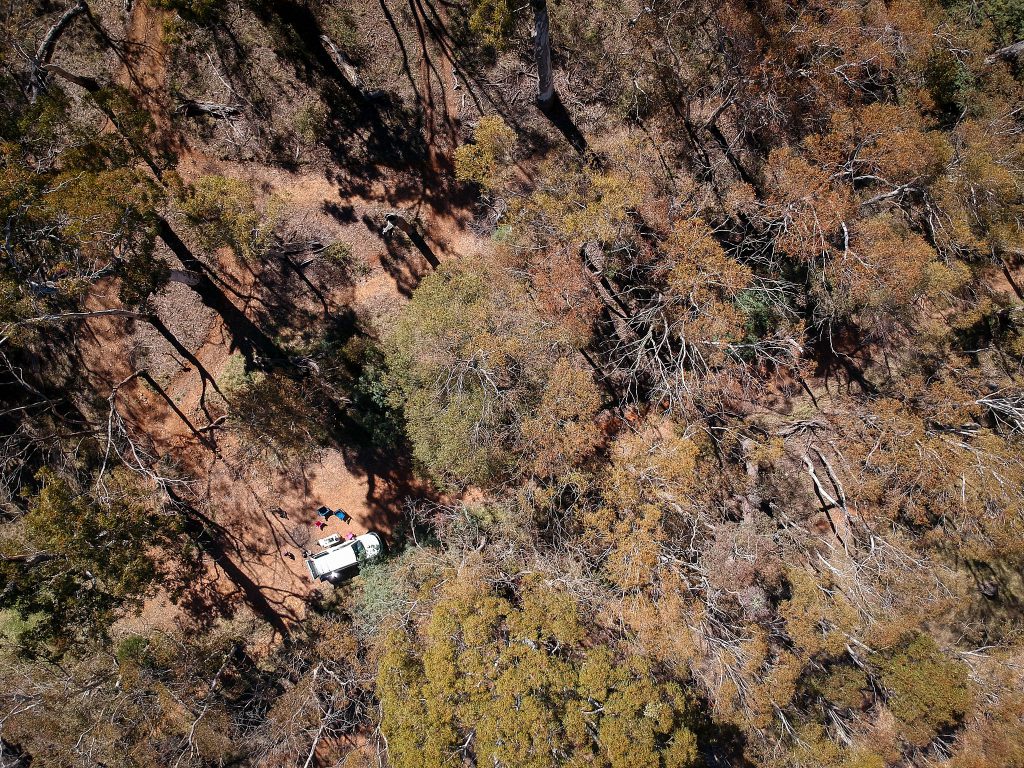 Sausage sizzle from the sky