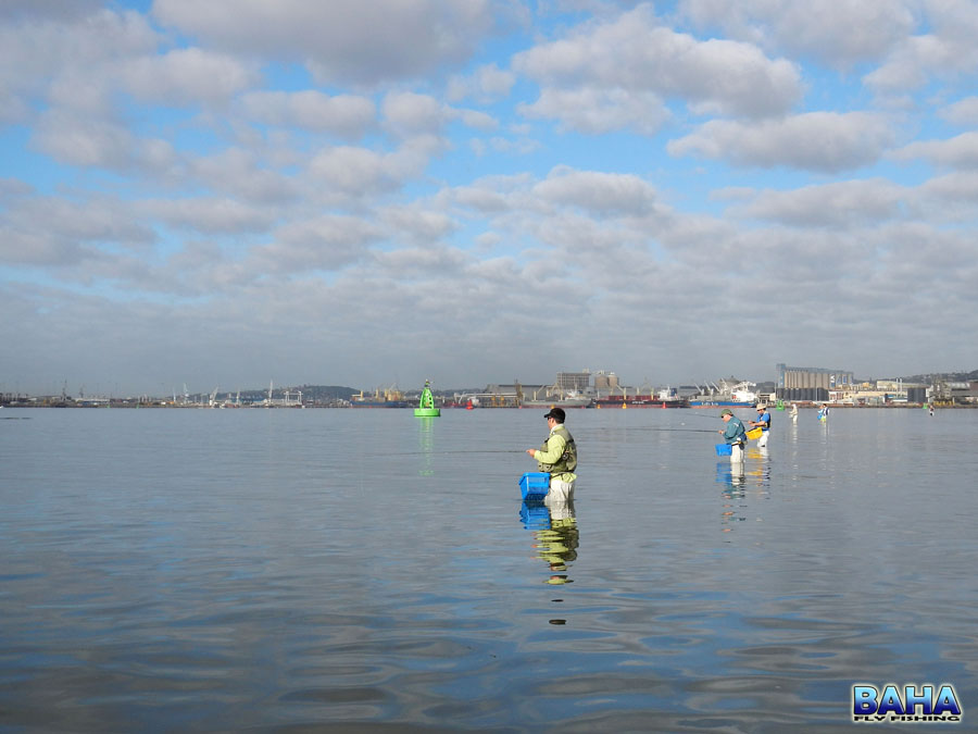 Fly Fishing The Durban Harbour