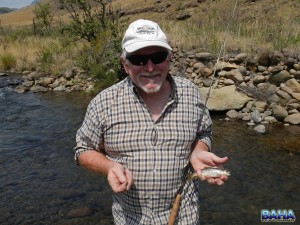 Nigel With A Wild Brown
