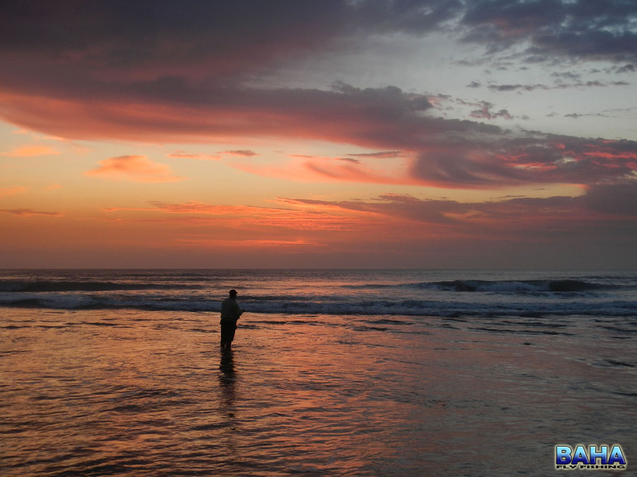 Fly fishing the surf at sunrise