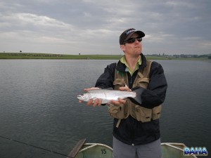 A Ringstead trout