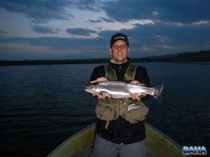 A small trout I picked up under moonlight