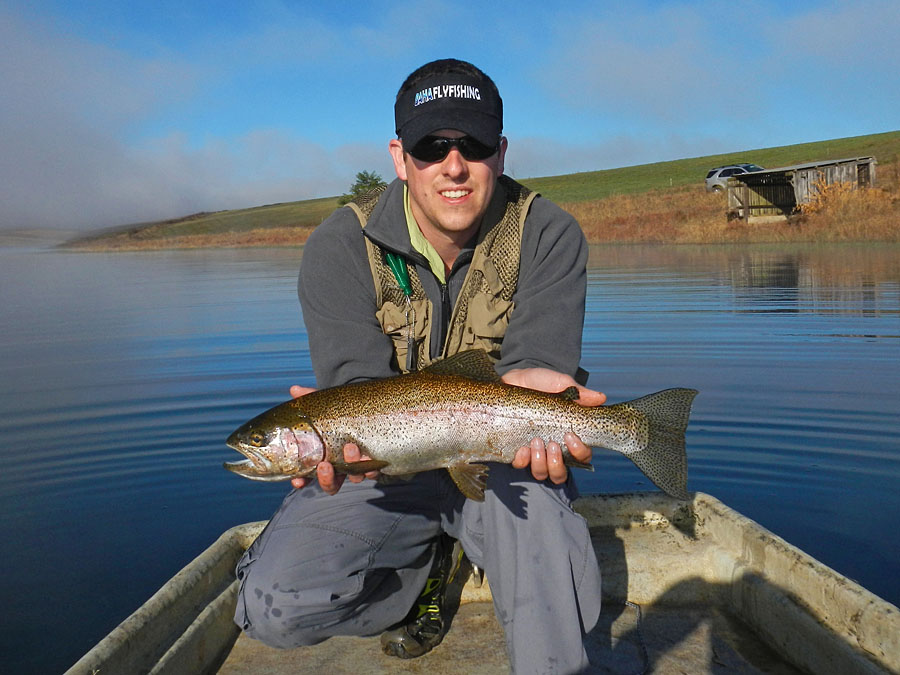 A trout out of Trelevans