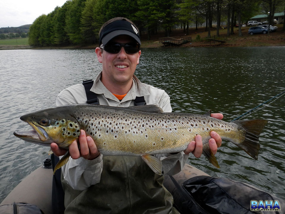 My first ever still water brown trout, and what a beauty