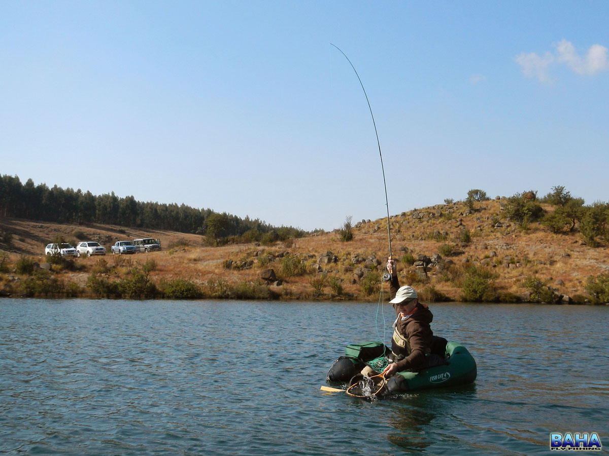 Dave landing a nice fish at Star Dam