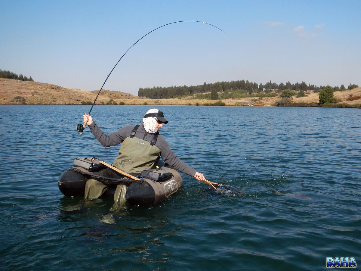Warren landing a fish at Star Dam