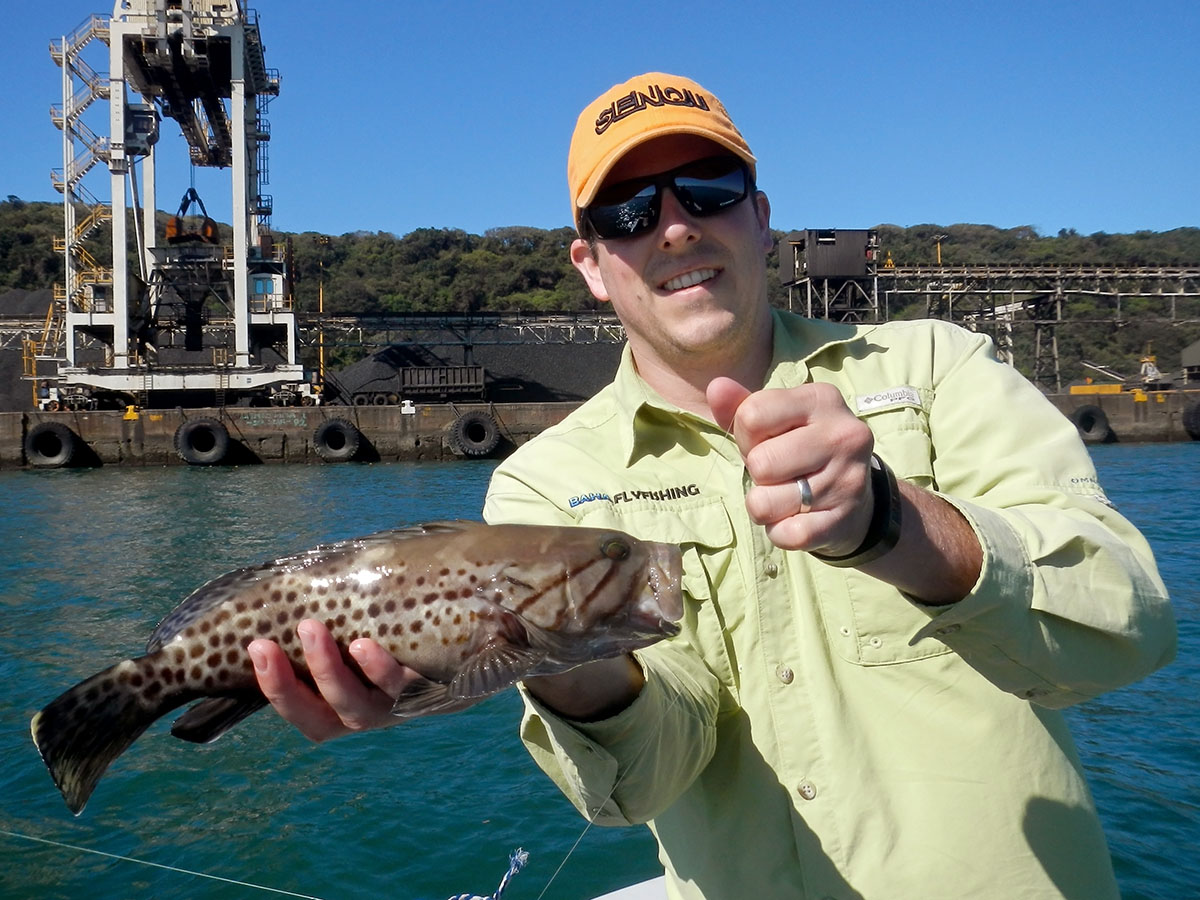A small catface rockcod I picked up in the Durban harbour