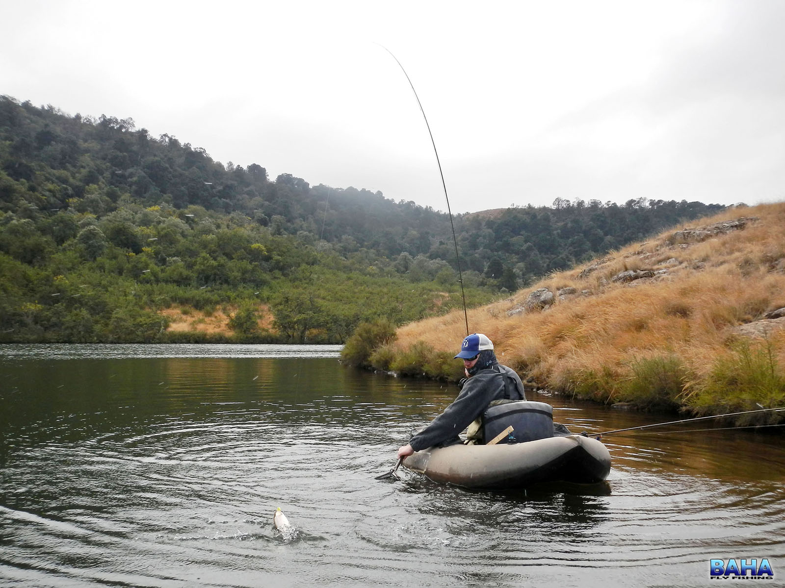 Keegan landing a rainbow trout at Geldart 2