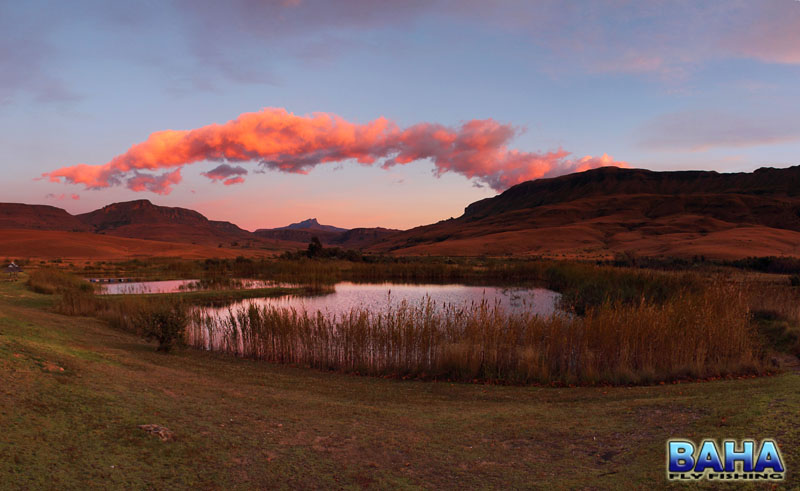 Sunrise over Eland Dam, Kamberg