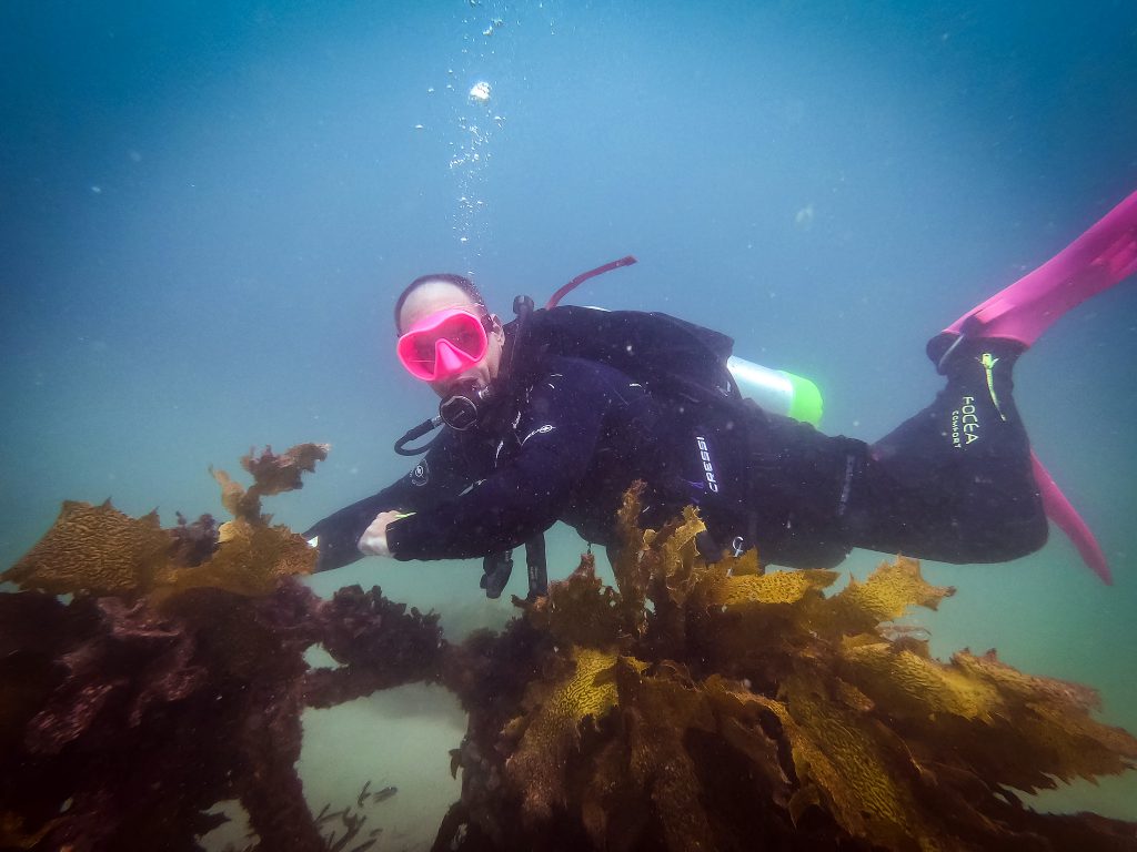 Nick on a sunken motorbike at Shelly Beach