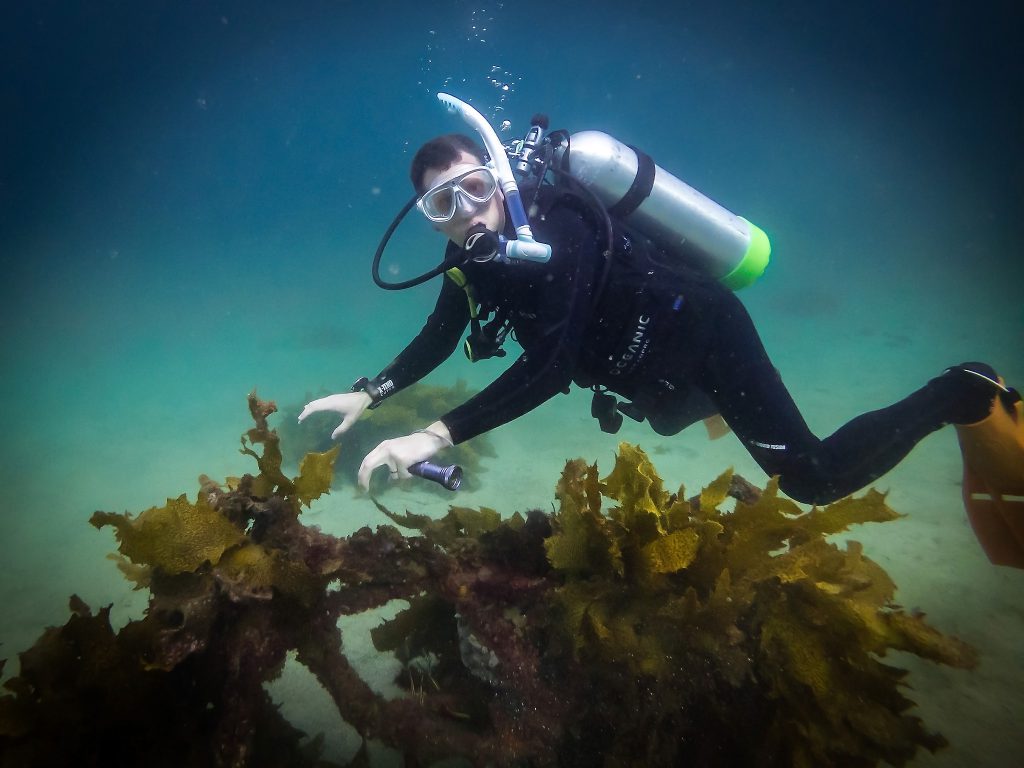 Warren on a sunken motorbike at Shelly Beach