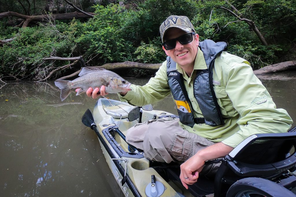 An Aussie bass caught on fly in the Lane Cove River