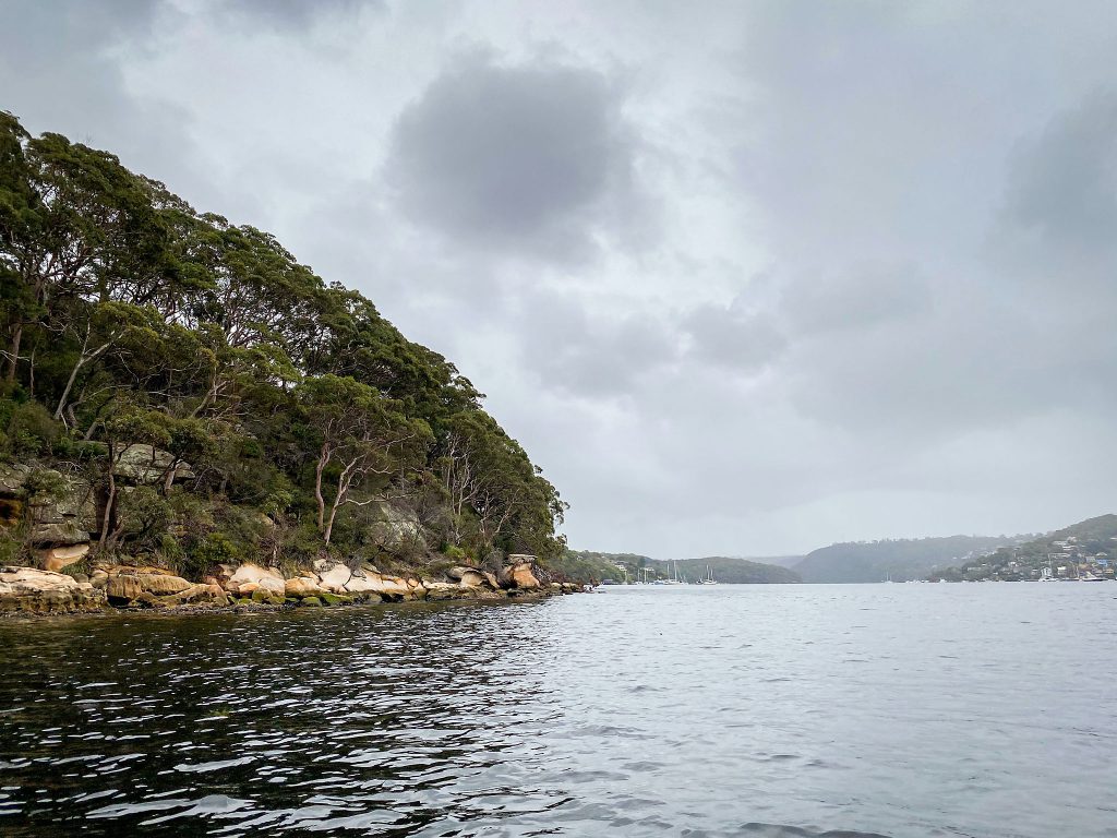 A Middle Harbour headland