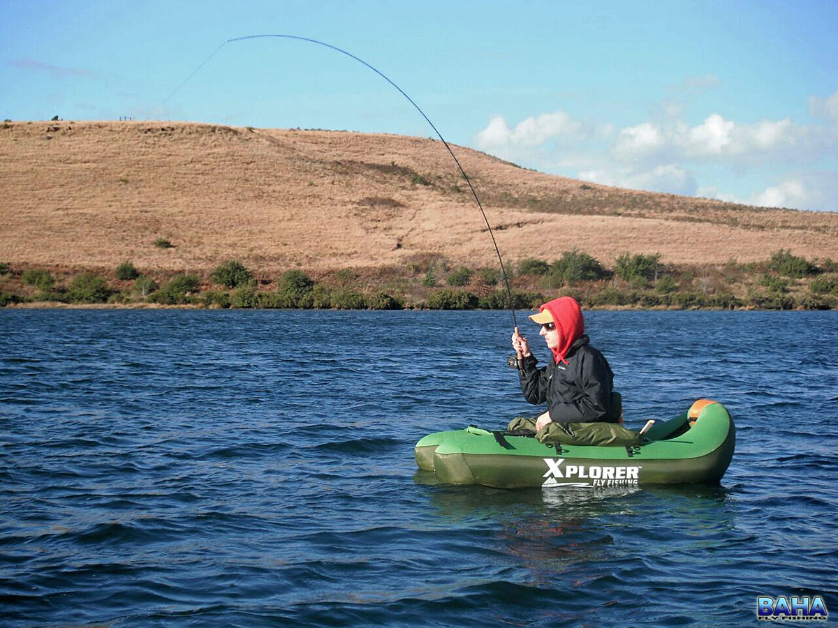 Landing one of my better fish of the festival