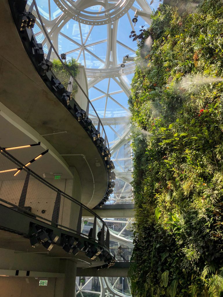 The living wall in the Spheres