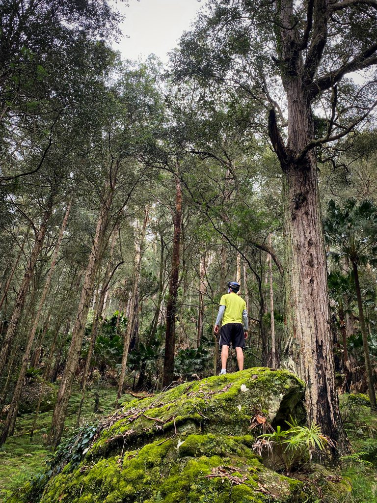 Enjoying the views in the Royal National Park