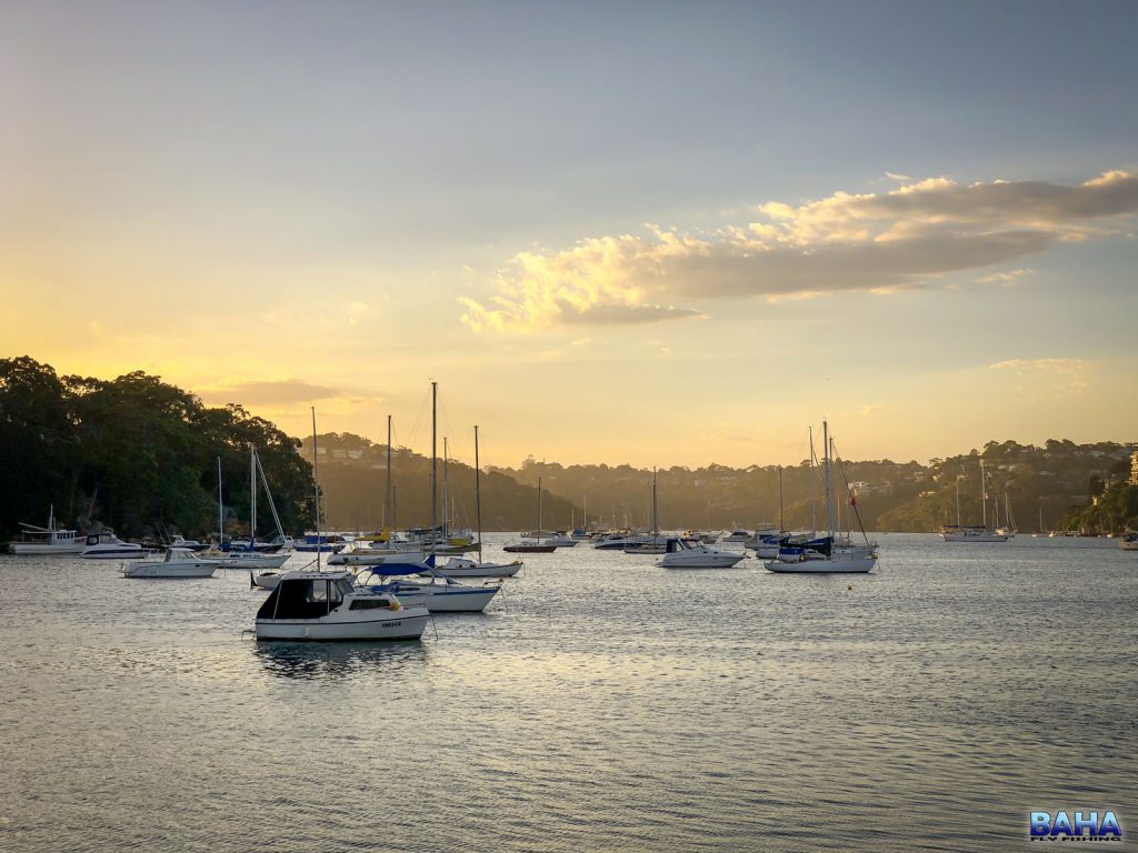 Sunset at Spit West Reserve