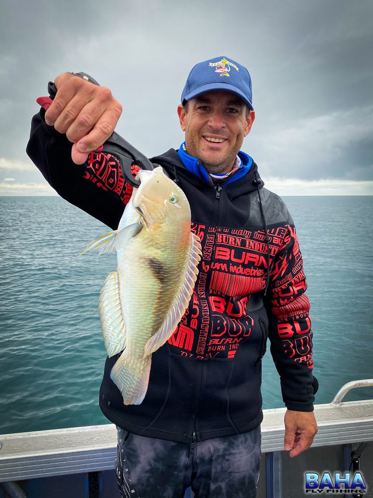 Nick Nortje with a purple tuskfish caught on bait in Moreton Bay