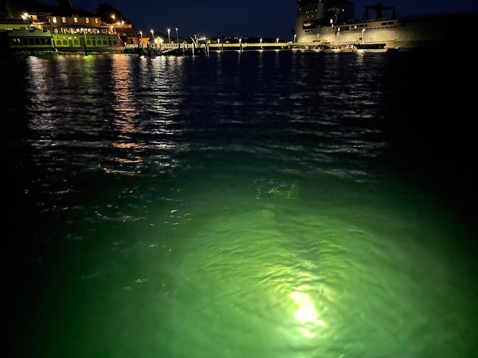 Scuba divers underwater at night (Courtesy of Frog Dive)