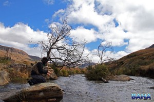 Hunting Trout