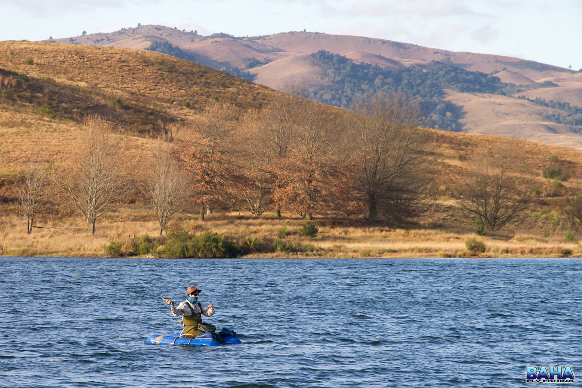 Bruce fly fishing McKenzies