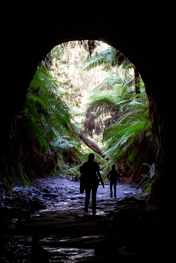 Walking out of the Glow Worm Tunnel