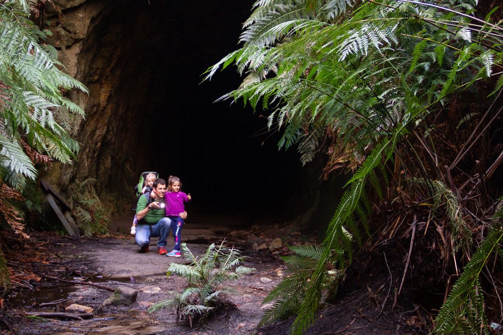Exploring the Glow Worm Tunnel