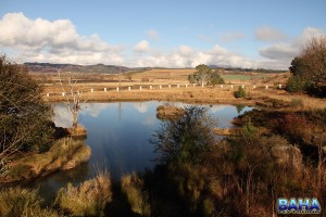 View from The Old Hatchery