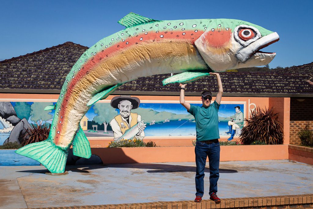 Trout everywhere in Oberon