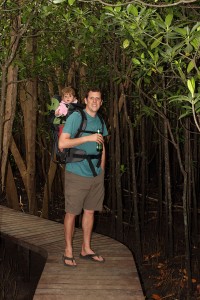 Walking the mangroves at Umlalazi