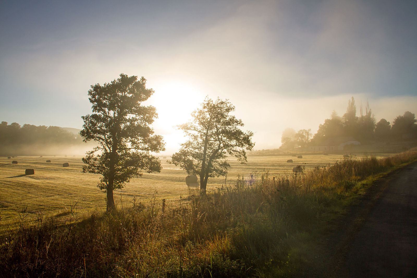 Golden sunrise in the Natal Midlands