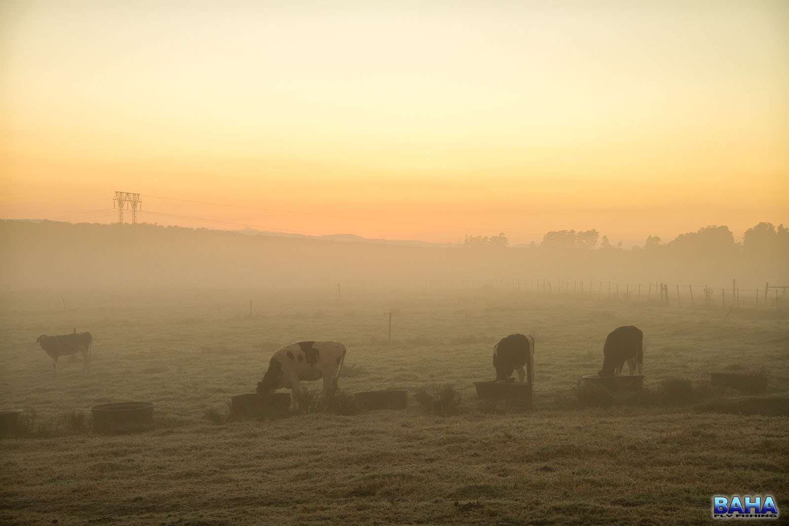 Sunrise on Virginia Farm