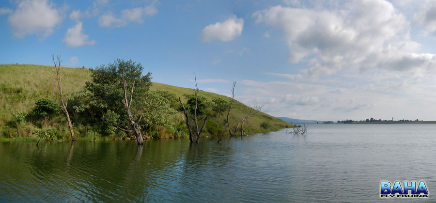 Our First Fishing Spot At Midmar