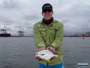 My First Fish Of 2013, A Southern Pompano
