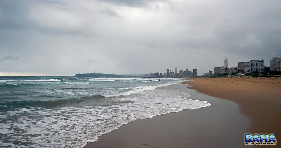 A standard morning at Casino Beach