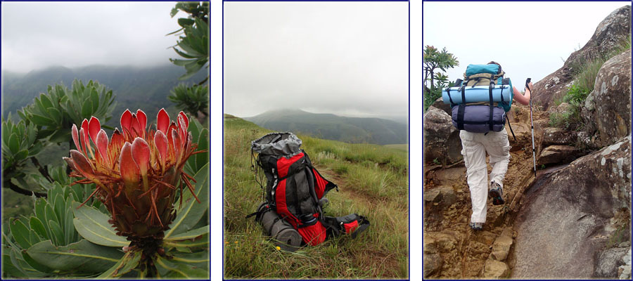 Views During The Zulu Cave Hike