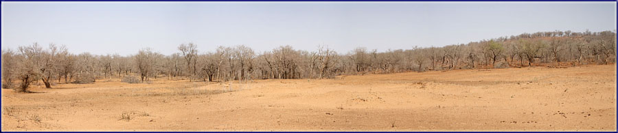 A Very Drive Imfolozi