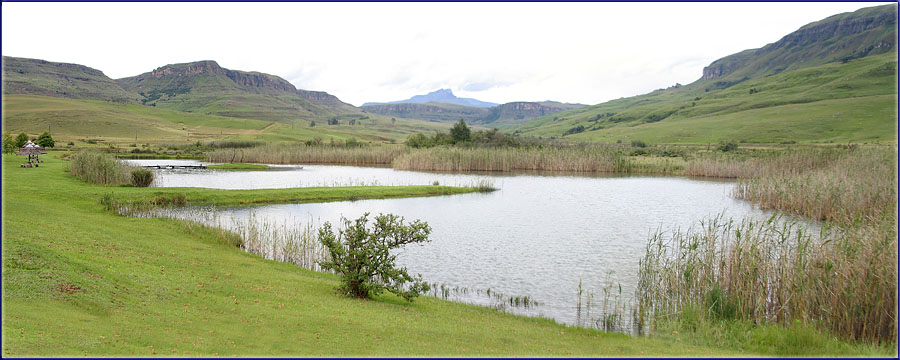 Eland Dam, Kamberg