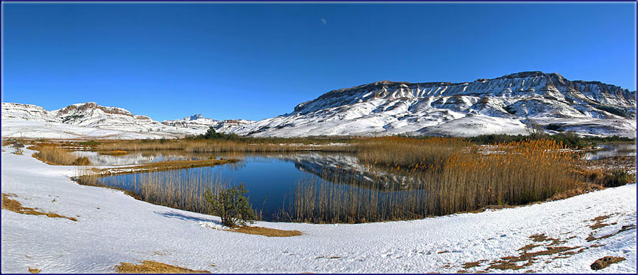 Eland Dam In The Snow