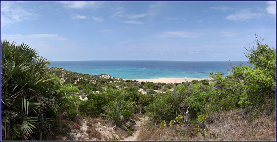 View From My Proposal Site