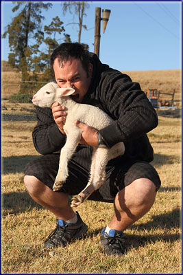 Lamb For Dinner?