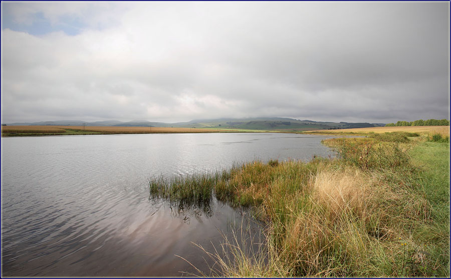 Prairie Dam