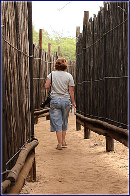 Sharon Walking To A Hide