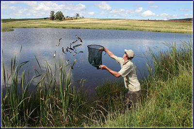 Stocking NFFC Waters
