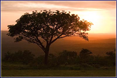 Sunrise In Mpila Camp, Umfolozi