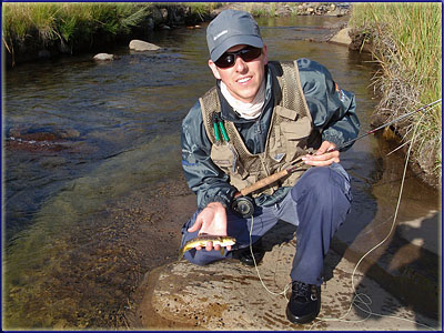 Warren With A Small Wild Brown
