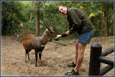 Warren Feeding A Bushbuck