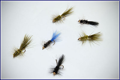 Favoured Kamberg Flies