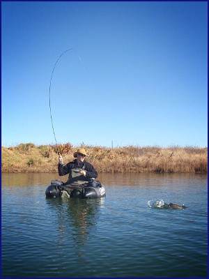 Warren Prior Landing A Trout